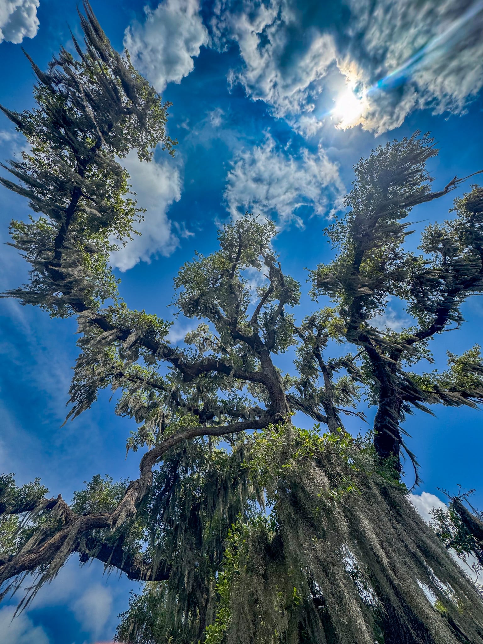 Finding Beauty in Every Moment: My Journey Into Nature Photography